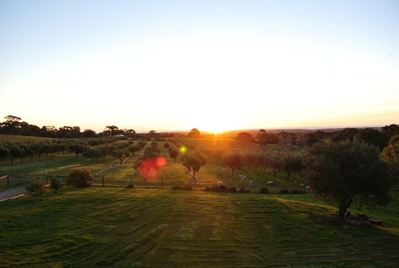 Bed and Breakfast The Farm Willunga Pokój zdjęcie